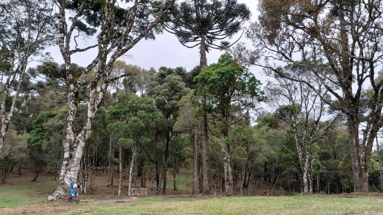 Cabanas Dos Pinheiros Sao Francisco de Paula  Exterior photo