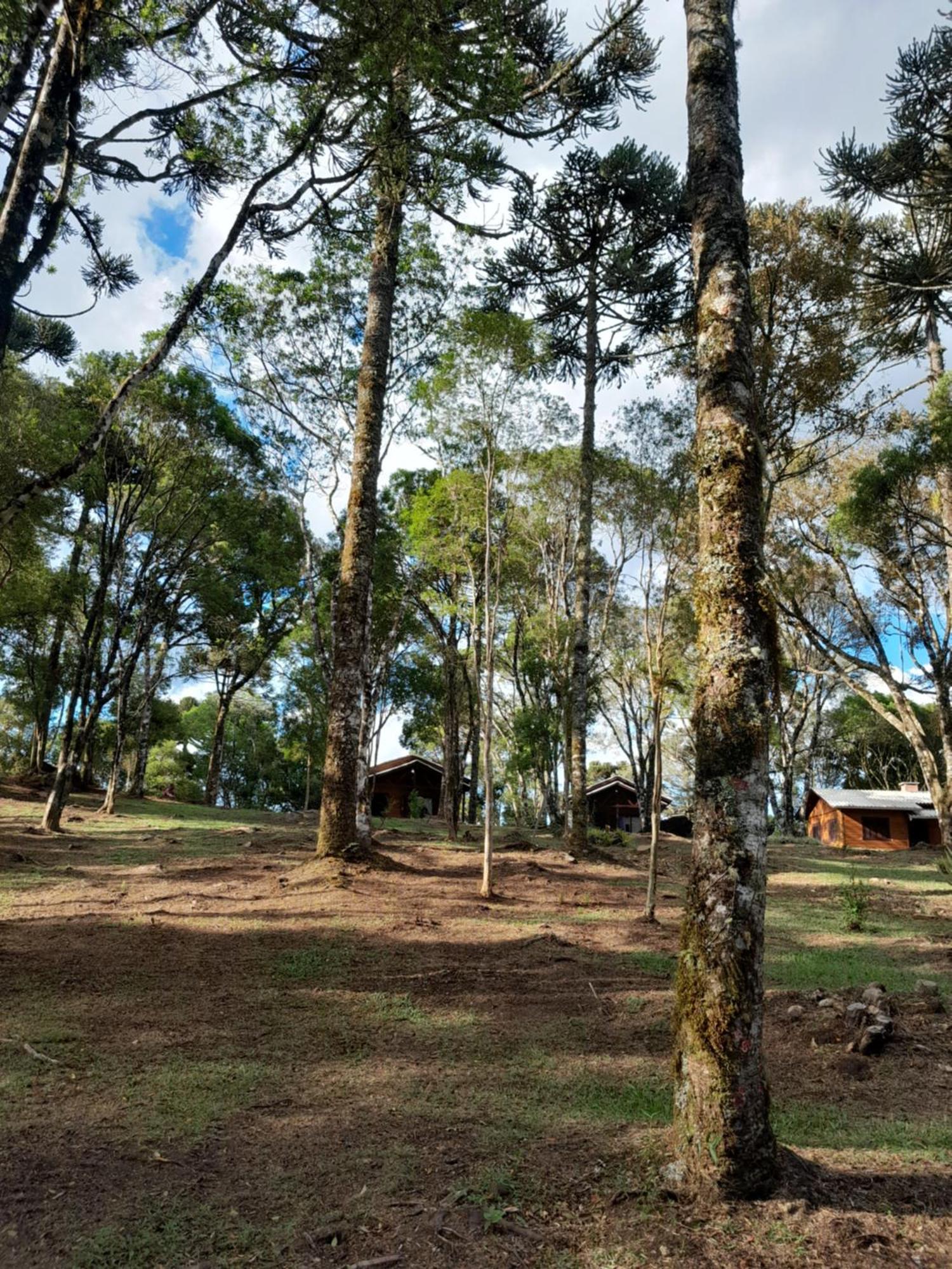 Cabanas Dos Pinheiros Sao Francisco de Paula  Room photo